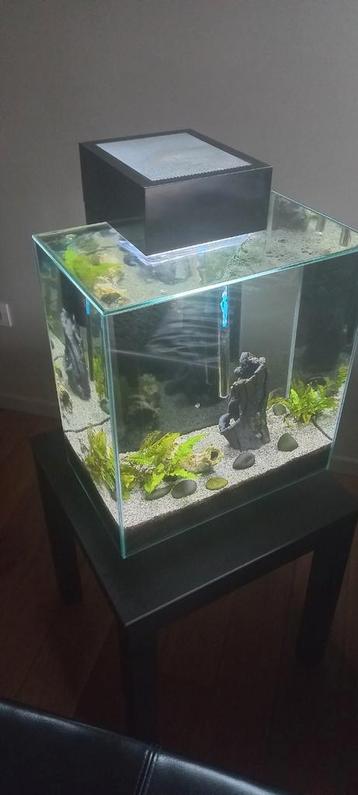 Aquarium Fluval Edge 46 litres, Enlèvement, Utilisé