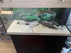 Aqwarium, Dieren en Toebehoren, Ophalen, Zo goed als nieuw