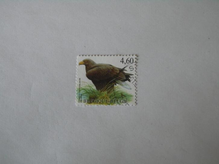 België gestempeld nr. 3871, Postzegels en Munten, Postzegels | Europa | België, Gestempeld, Gestempeld, Ophalen of Verzenden