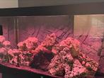 Juwel aquarium 120 X 50. 350liter., Dieren en Toebehoren, Vissen | Aquaria en Toebehoren, Ophalen, Zo goed als nieuw