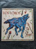 LOS LOBOS "How Will the Wolf Survive" LP (1984) IZGS, CD & DVD, Vinyles | Pop, 12 pouces, Utilisé, Enlèvement ou Envoi, 1980 à 2000