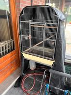 Voegel kooi, Dieren en Toebehoren, Ophalen, Gebruikt, Metaal, Vogelkooi