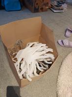 Stapel kleerhangers gratis!, Kleding | Dames, Kledinghangers, Ophalen of Verzenden