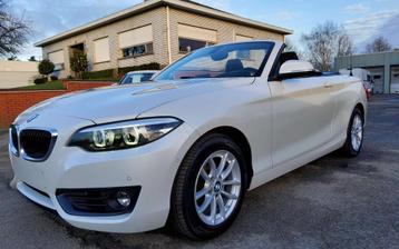 BMW 2 Serie 218 Cabrio 218i AUTOMAAT BENZINE SPORTLINE beschikbaar voor biedingen