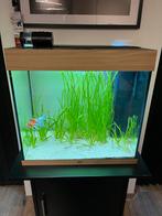 Juwel lido 120 led / meubel lido 200, Animaux & Accessoires, Enlèvement ou Envoi, Comme neuf