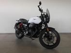 Moto Guzzi V7 Stone, Motos, Entreprise, Plus de 35 kW, 2 cylindres, 853 cm³