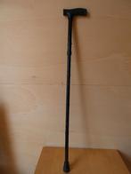 wandelstok, Divers, Bâtons de marche, Enlèvement, Ajustable