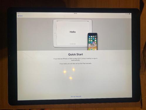 iPad Pro 12.9 inch, Computers en Software, Apple iPads, Gebruikt, Apple iPad, 13 inch of meer, Grijs, Ophalen