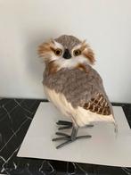 Staande bonte uil, Dieren en Toebehoren