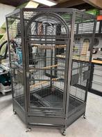 Volière perroquet xxl, Animaux & Accessoires, Oiseaux | Cages & Volières, Enlèvement ou Envoi, Comme neuf, Volière