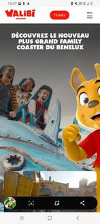 4 tickets bellewaerde of walibi geldig tem 29/09, Drie personen of meer, Ticket of Toegangskaart