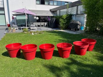 lot de 6 pots neufs de fleur 60 cm de diamètre (75€/lot) beschikbaar voor biedingen