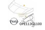 Opel Ampera-e motorkap (te spuiten) Origineel! 42 549 077, Opel, Avant, Enlèvement ou Envoi, Capot moteur