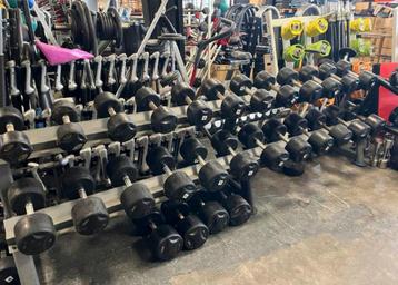 Lifemaxx Rubberen Dumbells 12-38 kg Gewichten Dumbells beschikbaar voor biedingen