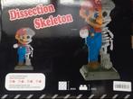 Dissection skeleton mario bross, Ophalen of Verzenden, Zo goed als nieuw