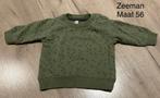 Trui met kerstboompjes (Zeeman, maat 56), Kinderen en Baby's, Babykleding | Maat 56, Ophalen of Verzenden, Zo goed als nieuw