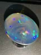 Grote Opaal 26,86 ct ALGT 22,62 x 17,55 x 11,67 mm, Ophalen of Verzenden, Nieuw