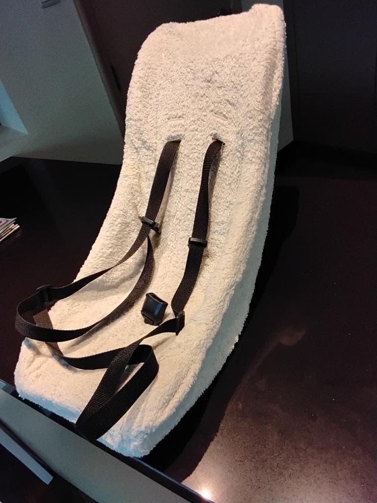 Babyzitje fietskar, Ophalen, Gebruikt, Kinderkar