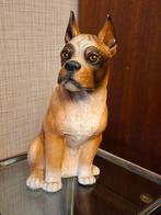 Objet de collection Boxer de race pure, Enlèvement