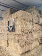 Droog hooi, Dieren en Toebehoren, Paarden