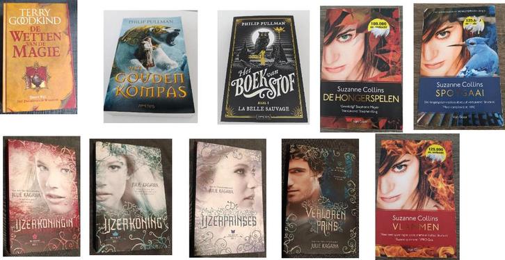 NL YA of Fantasy Boeken, Boeken, Fantasy, Zo goed als nieuw, Ophalen