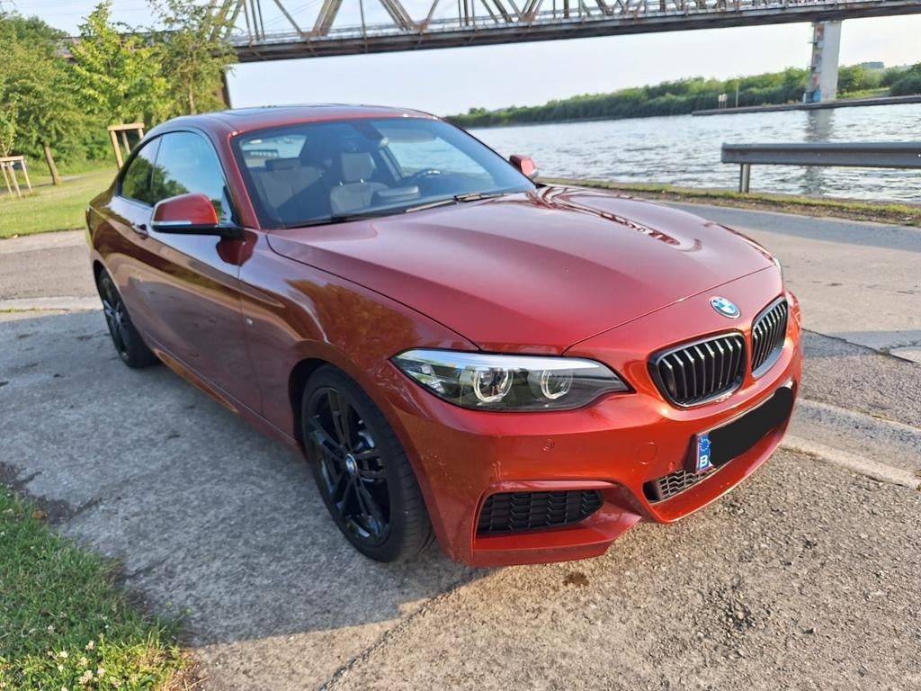 BMW 218i, Achat, Entreprise, Alcantara, 2 portes