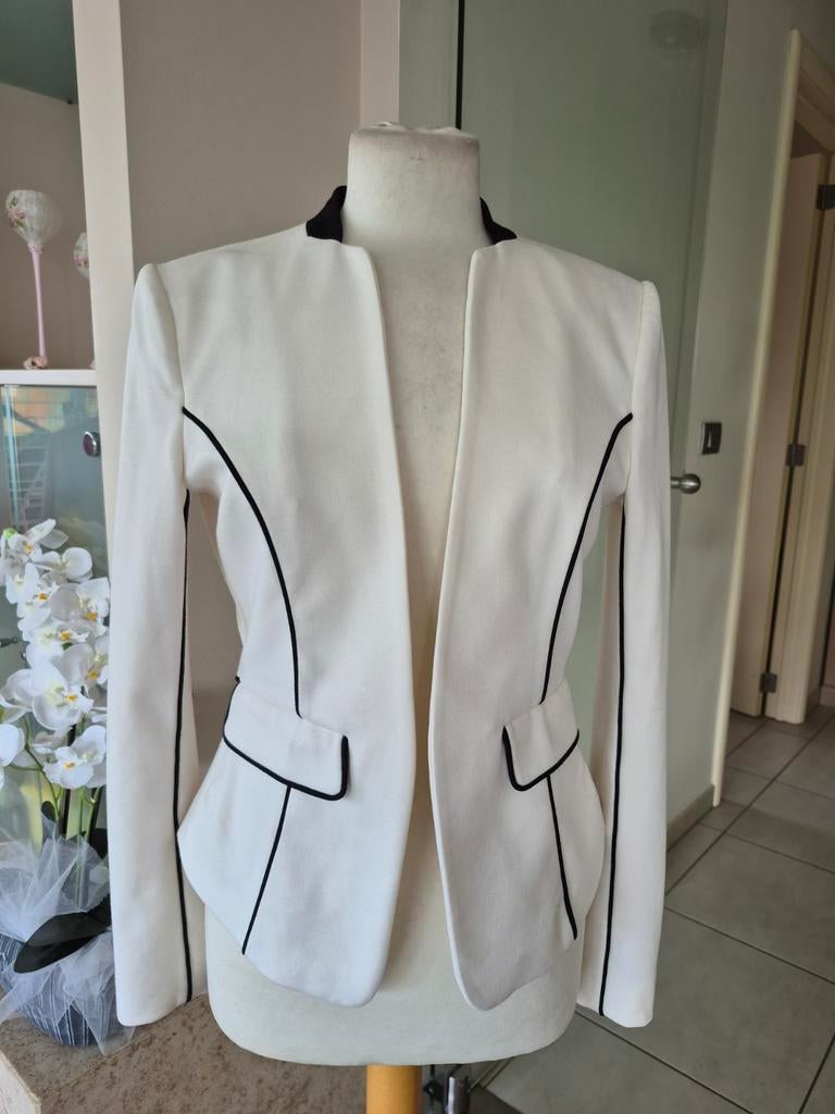 Damesblazer, Kleding | Dames, Jasjes, Kostuums en Pakken, Ophalen of Verzenden, Maat 38/40 (M)