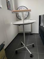 perchoir perroquet, Perroquet