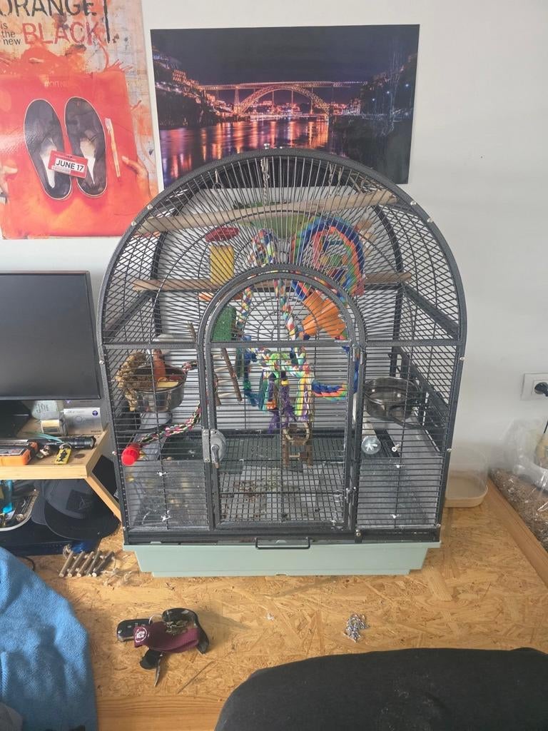 Cage pour perroquet / perruche ext.., Animaux & Accessoires, Enlèvement