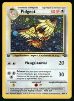 Pidgeot 8/64 - Jungle (1st edition) (NL) (NM), Envoi, Utilisé
