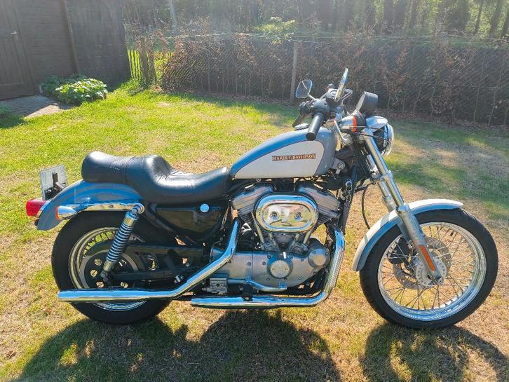 Harley Davidson Sportster 883, Motoren, Motoren | Harley-Davidson, Particulier, Toermotor, meer dan 35 kW, 2 cilinders, Motorrijbewijs A