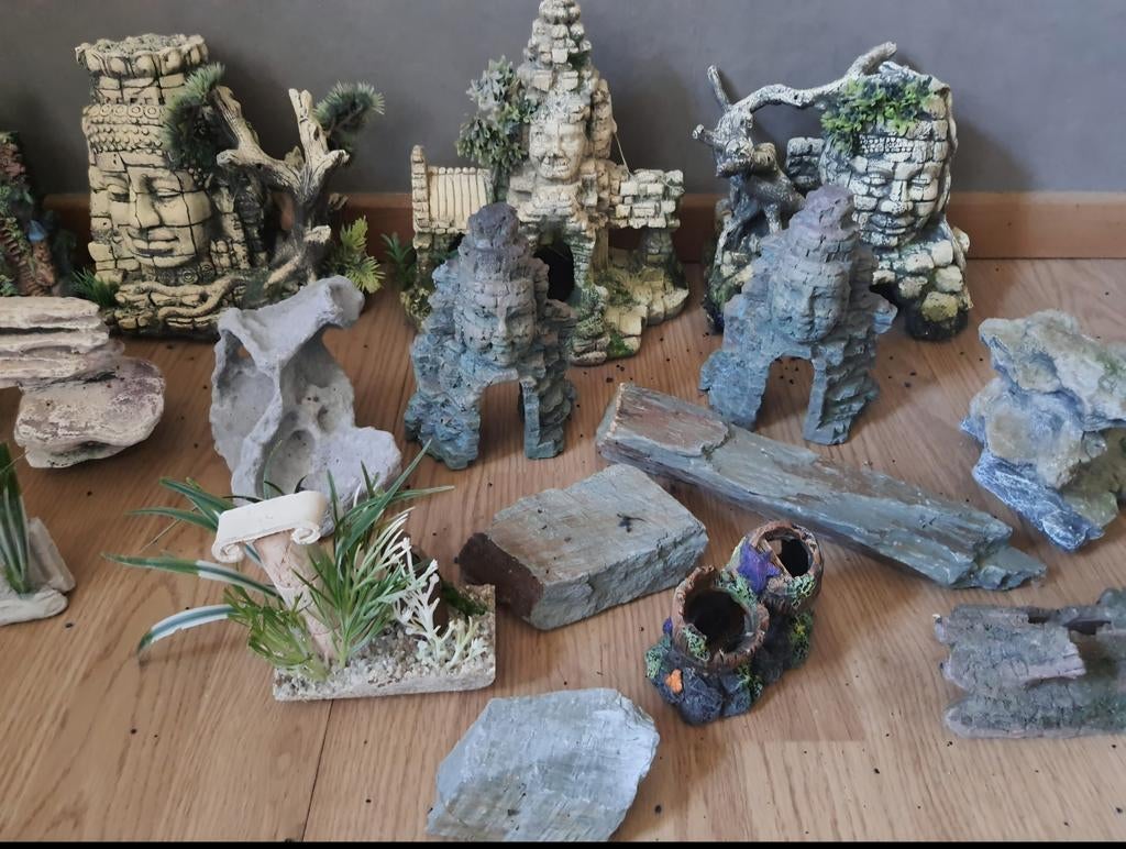 2 bananendozen aquarium benodigdheden, Ophalen