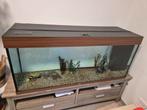 Gesloten aquarium - Juwel walnoot 240 liter, Dieren en Toebehoren, Ophalen