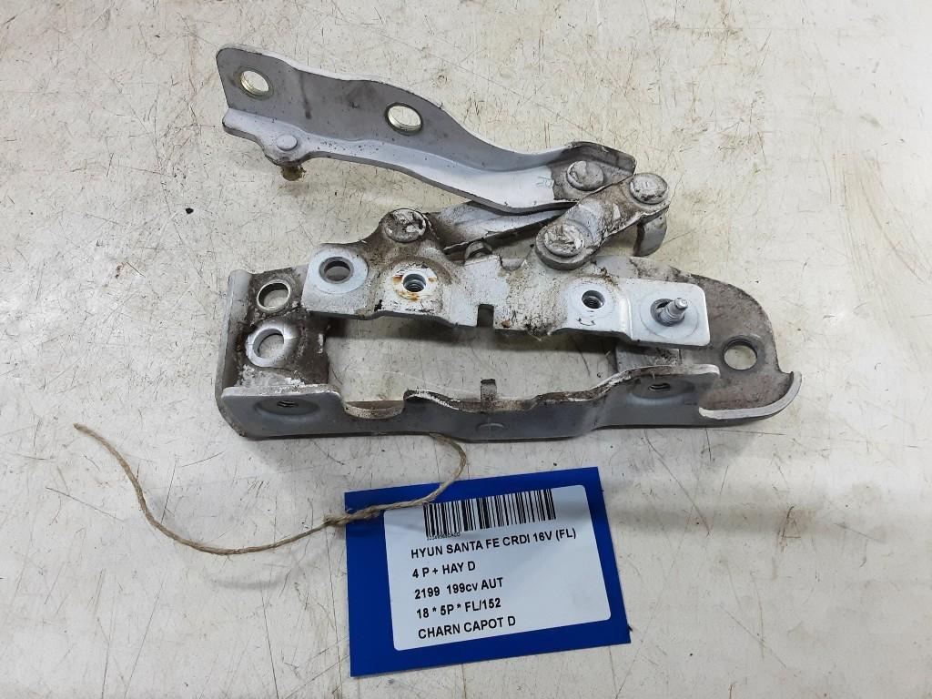 CHARNIERE DE CAPOT DROIT Hyundai Santa Fe III (DM), Mevr. I. Hauben, Utilisé, Hyundai, Rue de l'Espoir 34 34
4030  GRIVEGNÉE, BE