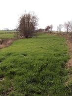 Weide  grasland, Enlèvement