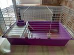 Knaagdierkooi, cavia, konijn, Enlèvement, Utilisé, Cage, Cobaye