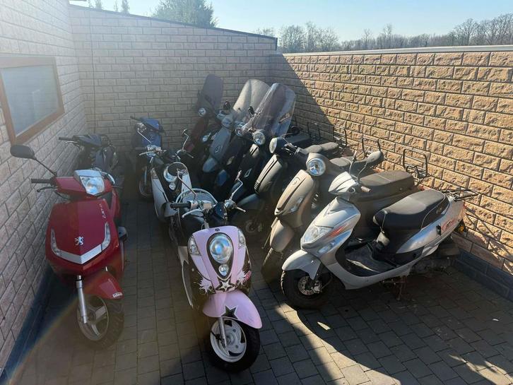 A & B KLASSE BROMMERS – DIRECT IN STOCK!, Vélos & Vélomoteurs, Vélomoteurs & Scooters bridés, Enlèvement