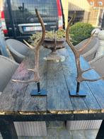 Geweien op statief, Ophalen