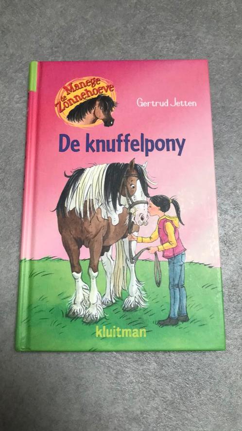 Gertrud Jetten - De knuffelpony, Livres, Livres pour enfants | Jeunesse | Moins de 10 ans, Comme neuf, Enlèvement ou Envoi