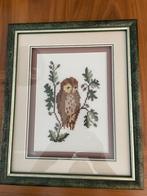 Kader met uil, Ophalen of Verzenden, Gebruikt