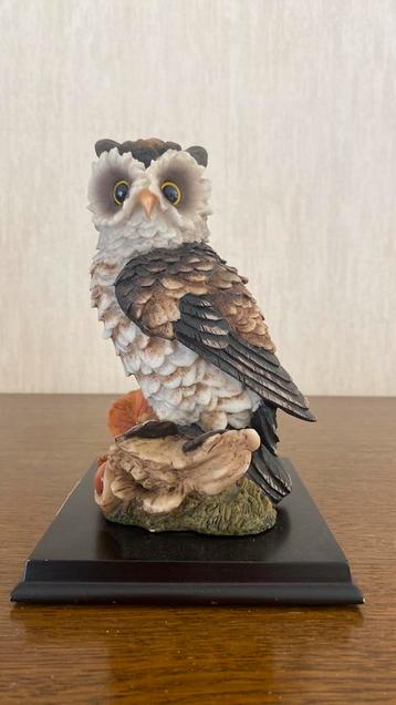 Uiltje Sabatini beschikbaar voor biedingen