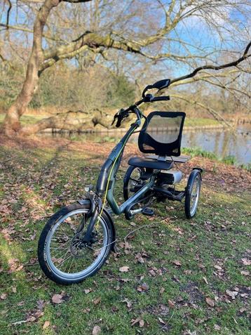 Electrische Van Raam Easy Rider 3 met Envilo naaf., Fietsen en Brommers, Fietsen | Driewielfietsen, Ophalen, Zo goed als nieuw