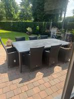tafel met 8 stoelen, Tuin en Terras, Tuinmeubel-accessoires, Ophalen of Verzenden, Gebruikt