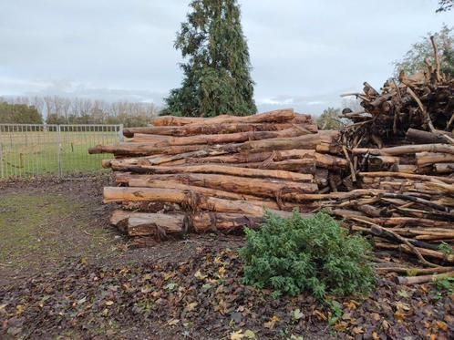 Boomstammen drie jaar gedroogd. Voor sierwerk of brandhout., Tuin en Terras, Brandhout, Stammen, Ophalen of Verzenden