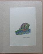 HUGO CLAUS / ZINNEN & VRUCHTEN / KLEURLITHO / 32x24cm, Antiek en Kunst, Ophalen of Verzenden