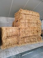 Grote pakken tarwe stro, tarwestro, Dieren en Toebehoren, Ophalen, Vee