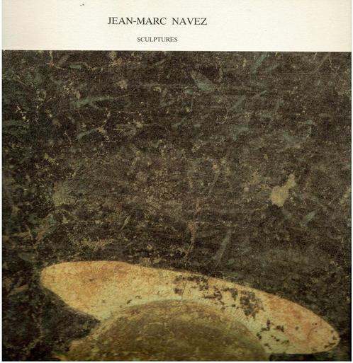 Jean-Marc Navez sculptures, Boeken, Kunst en Cultuur | Beeldend, Gelezen, Ophalen of Verzenden