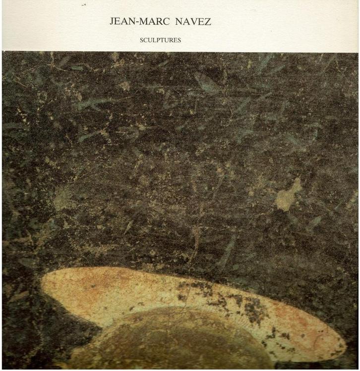 Jean-Marc Navez sculptures, Livres, Art & Culture | Arts plastiques, Utilisé, Enlèvement ou Envoi