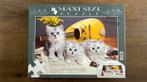Puzzel kat / kitten - 500 stuks, Hobby en Vrije tijd, Ophalen of Verzenden, 500 t/m 1500 stukjes, Zo goed als nieuw, Legpuzzel