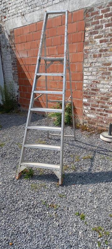 Professionele trapladder Petry 6 treden  beschikbaar voor biedingen
